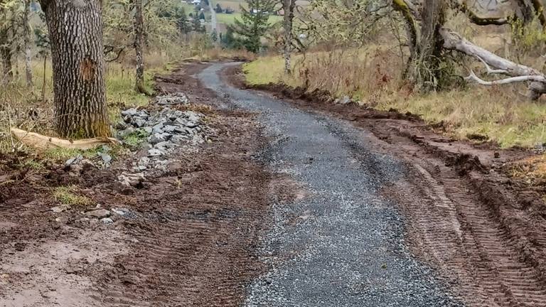 gravel trail with muddy ruts abutting and trees and greenery on the sides